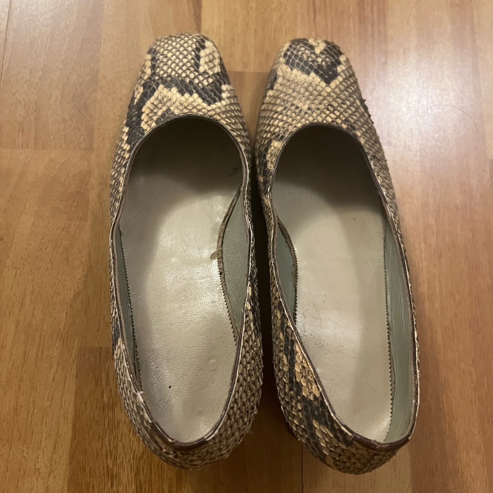 Snake Print Women's Shoes